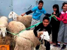Tunisie:la date de la fête de L’Aïd al-Adha connue
